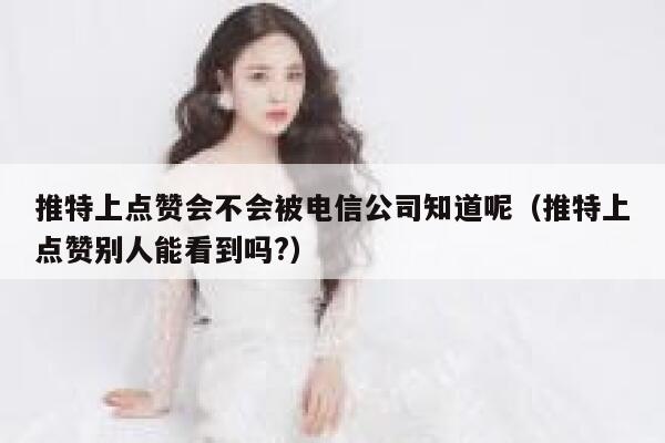推特上点赞会不会被电信公司知道呢（推特上点赞别人能看到吗?） 第1张