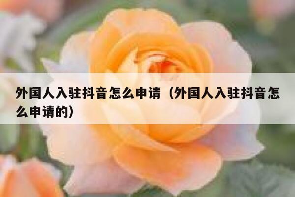外国人入驻抖音怎么申请（外国人入驻抖音怎么申请的） 第1张