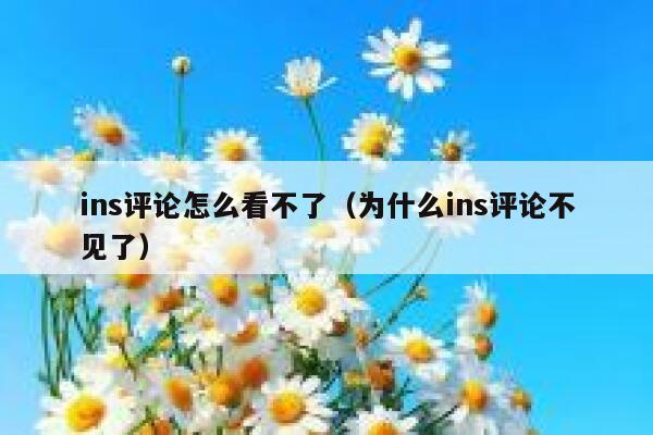 ins评论怎么看不了（为什么ins评论不见了） 第1张