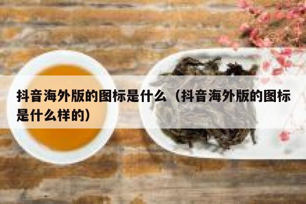 抖音海外版的图标是什么（抖音海外版的图标是什么样的） 第1张