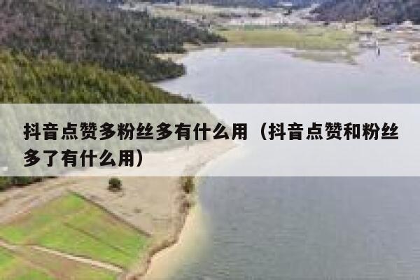 抖音点赞多粉丝多有什么用（抖音点赞和粉丝多了有什么用） 第1张