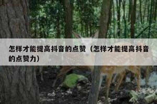 怎样才能提高抖音的点赞（怎样才能提高抖音的点赞力） 第1张
