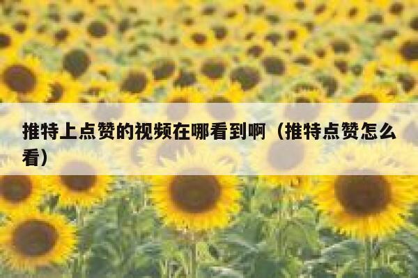 推特上点赞的视频在哪看到啊（推特点赞怎么看） 第1张