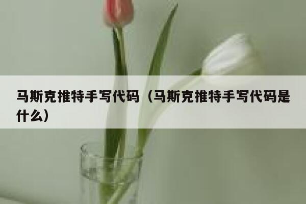 马斯克推特手写代码（马斯克推特手写代码是什么） 第1张