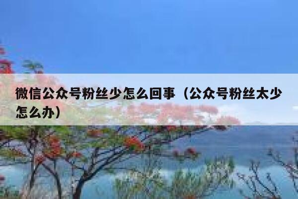 微信公众号粉丝少怎么回事（公众号粉丝太少怎么办） 第1张