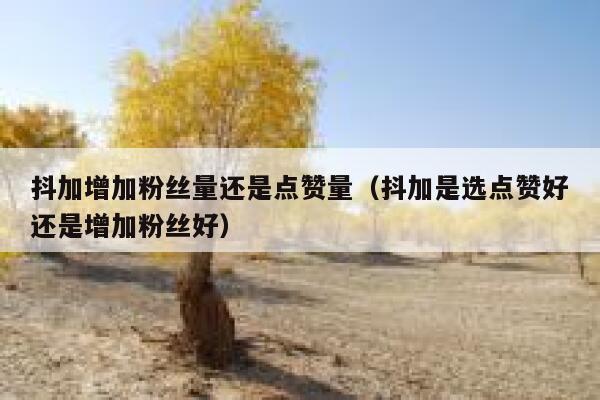 抖加增加粉丝量还是点赞量（抖加是选点赞好还是增加粉丝好） 第1张