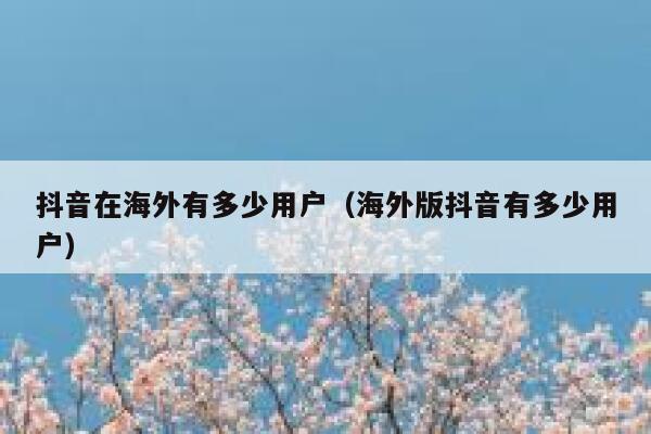 抖音在海外有多少用户（海外版抖音有多少用户） 第1张