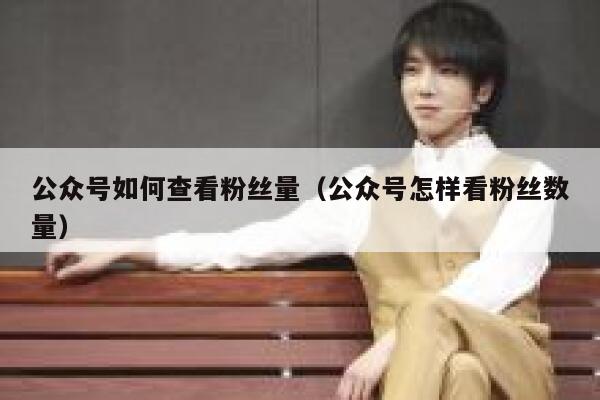公众号如何查看粉丝量（公众号怎样看粉丝数量） 第1张