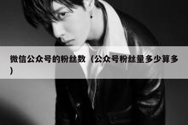 微信公众号的粉丝数（公众号粉丝量多少算多） 第1张