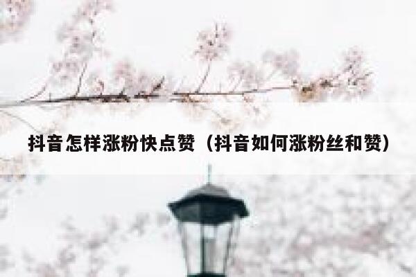 抖音怎样涨粉快点赞（抖音如何涨粉丝和赞） 第1张
