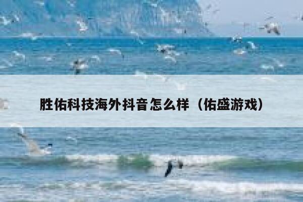 胜佑科技海外抖音怎么样（佑盛游戏） 第1张