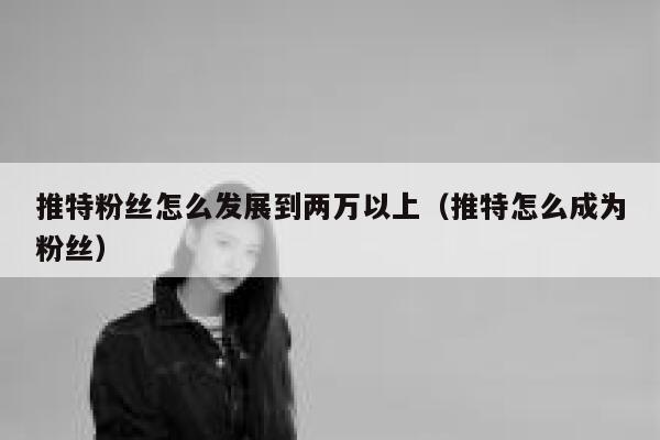 推特粉丝怎么发展到两万以上（推特怎么成为粉丝） 第1张