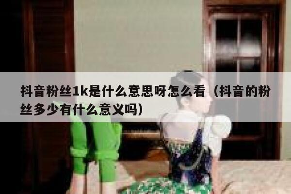 抖音粉丝1k是什么意思呀怎么看（抖音的粉丝多少有什么意义吗） 第1张