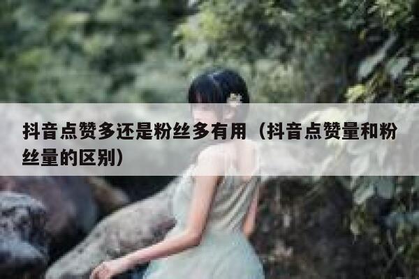 抖音点赞多还是粉丝多有用（抖音点赞量和粉丝量的区别） 第1张