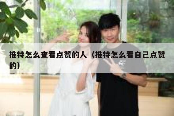 推特怎么查看点赞的人（推特怎么看自己点赞的） 第1张