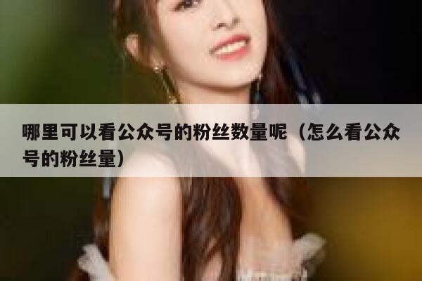 哪里可以看公众号的粉丝数量呢（怎么看公众号的粉丝量） 第1张