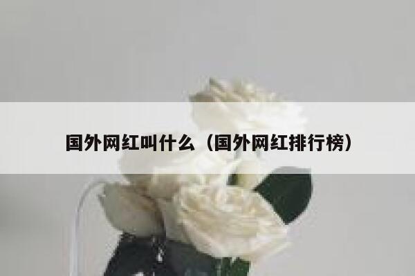 国外网红叫什么（国外网红排行榜） 第1张