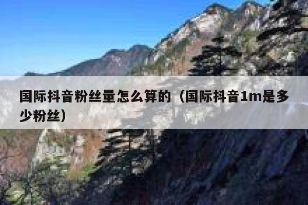 国际抖音粉丝量怎么算的（国际抖音1m是多少粉丝） 第1张