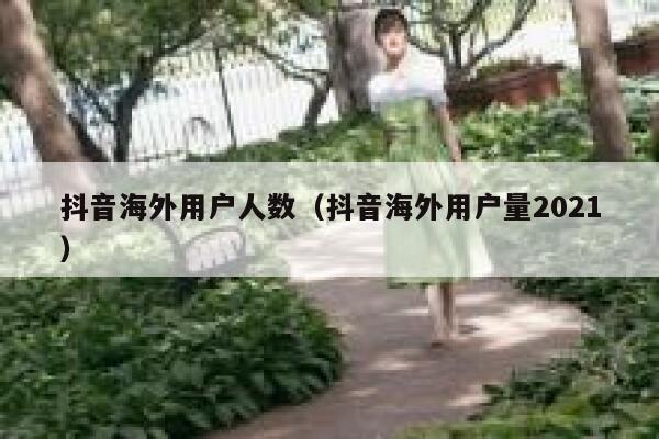抖音海外用户人数（抖音海外用户量2021） 第1张