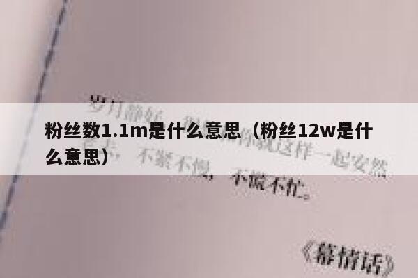粉丝数1.1m是什么意思（粉丝12w是什么意思） 第1张