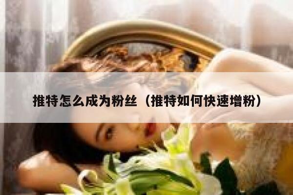 推特怎么成为粉丝（推特如何快速增粉） 第1张