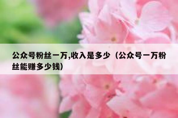 公众号粉丝一万,收入是多少（公众号一万粉丝能赚多少钱） 第1张