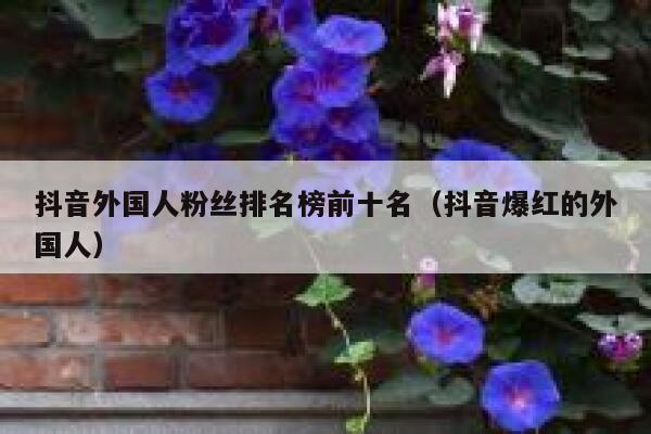 抖音外国人粉丝排名榜前十名（抖音爆红的外国人） 第1张