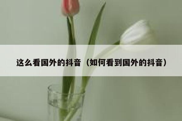 这么看国外的抖音（如何看到国外的抖音） 第1张