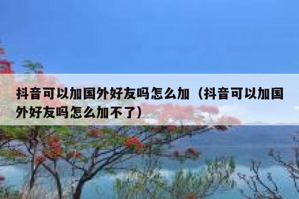 抖音可以加国外好友吗怎么加（抖音可以加国外好友吗怎么加不了） 第1张