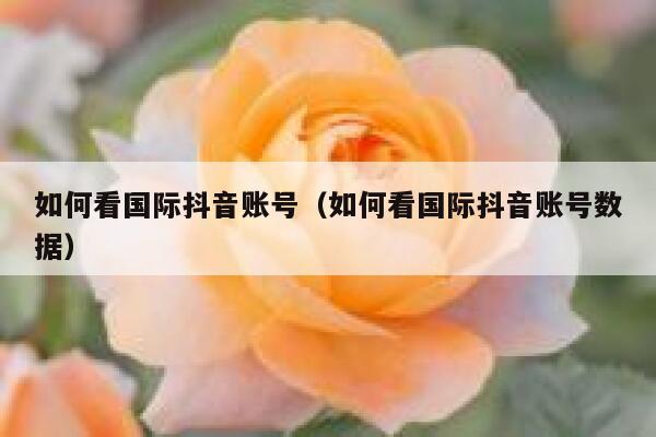 如何看国际抖音账号（如何看国际抖音账号数据） 第1张