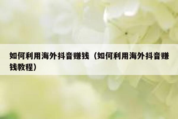 如何利用海外抖音赚钱（如何利用海外抖音赚钱教程） 第1张