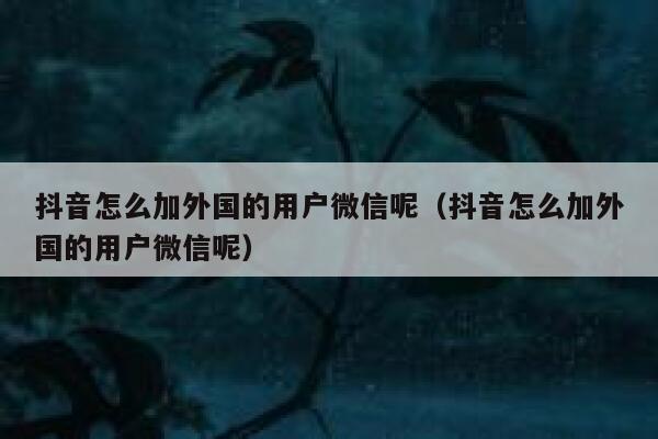 抖音怎么加外国的用户微信呢（抖音怎么加外国的用户微信呢） 第1张