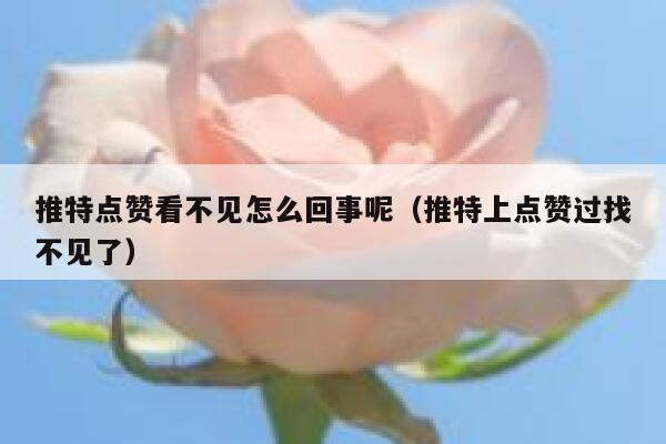 推特点赞看不见怎么回事呢（推特上点赞过找不见了） 第1张