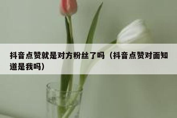 抖音点赞就是对方粉丝了吗（抖音点赞对面知道是我吗） 第1张