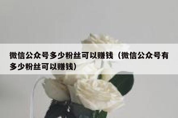 微信公众号多少粉丝可以赚钱（微信公众号有多少粉丝可以赚钱） 第1张