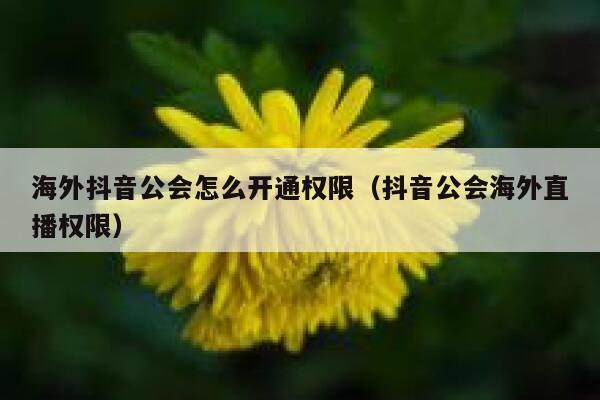 海外抖音公会怎么开通权限（抖音公会海外直播权限） 第1张