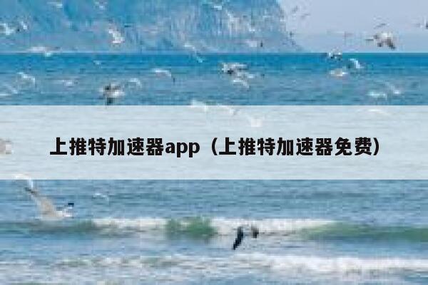 上推特加速器app（上推特加速器免费） 第1张