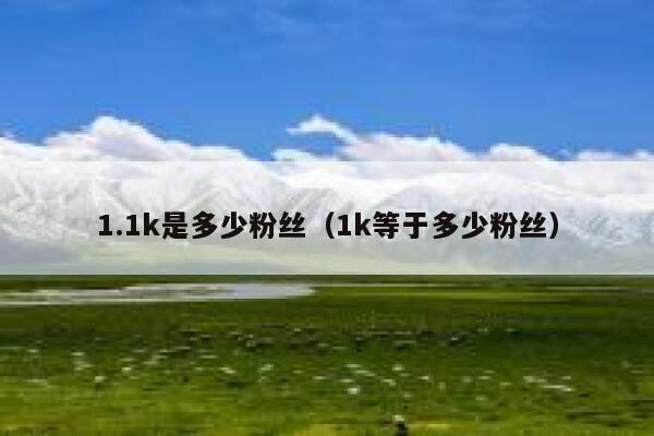 1.1k是多少粉丝（1k等于多少粉丝） 第1张
