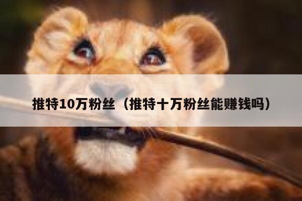 推特10万粉丝（推特十万粉丝能赚钱吗） 第1张