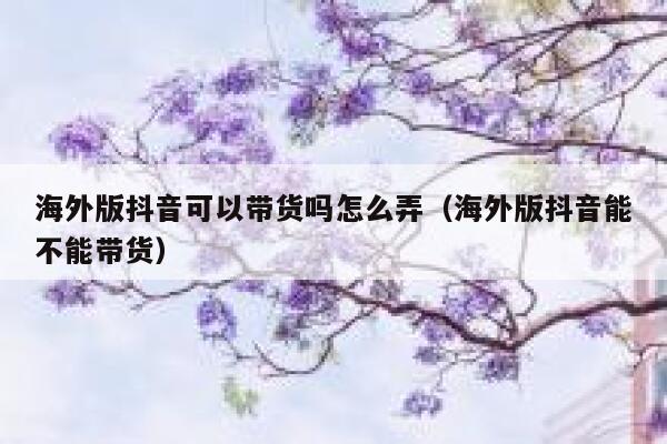 海外版抖音可以带货吗怎么弄（海外版抖音能不能带货） 第1张