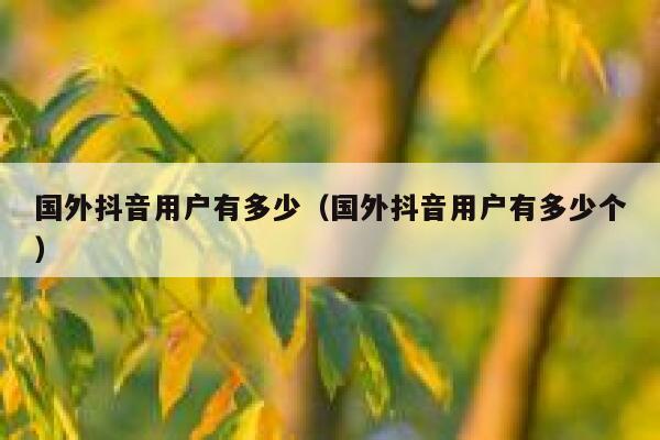 国外抖音用户有多少（国外抖音用户有多少个） 第1张