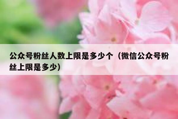 公众号粉丝人数上限是多少个（微信公众号粉丝上限是多少） 第1张
