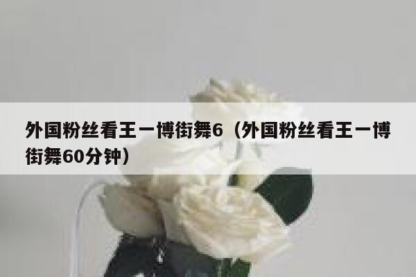 外国粉丝看王一博街舞6（外国粉丝看王一博街舞60分钟） 第1张