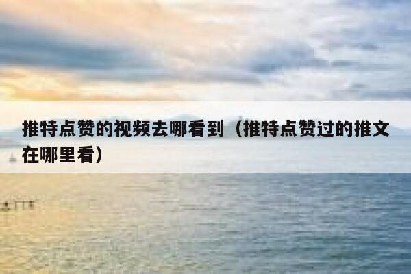 推特点赞的视频去哪看到（推特点赞过的推文在哪里看） 第1张