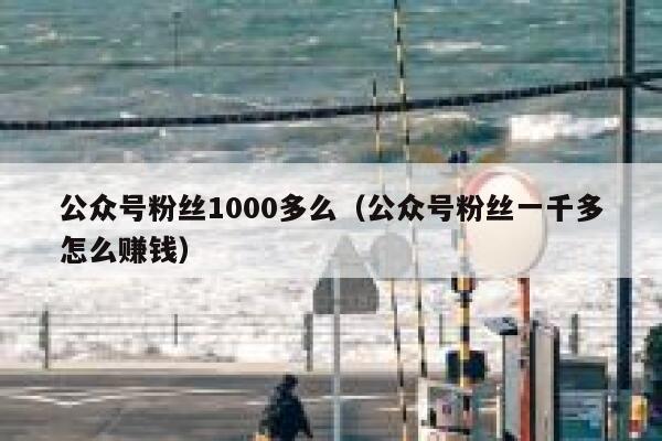 公众号粉丝1000多么（公众号粉丝一千多怎么赚钱） 第1张