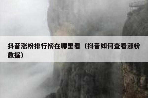 抖音涨粉排行榜在哪里看（抖音如何查看涨粉数据） 第1张