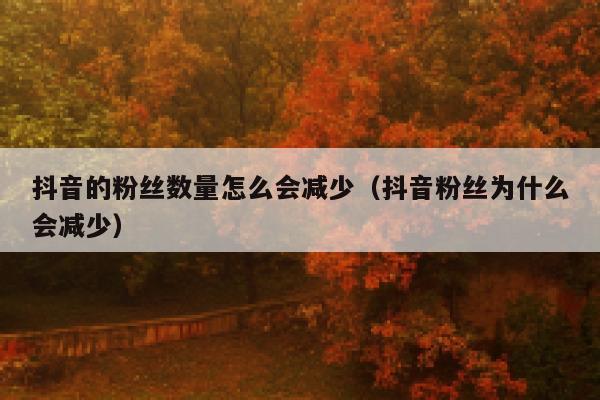 抖音的粉丝数量怎么会减少（抖音粉丝为什么会减少） 第1张