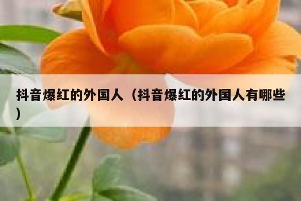 抖音爆红的外国人（抖音爆红的外国人有哪些） 第1张
