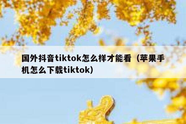 国外抖音tiktok怎么样才能看（苹果手机怎么下载tiktok） 第1张