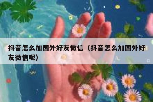抖音怎么加国外好友微信（抖音怎么加国外好友微信呢） 第1张